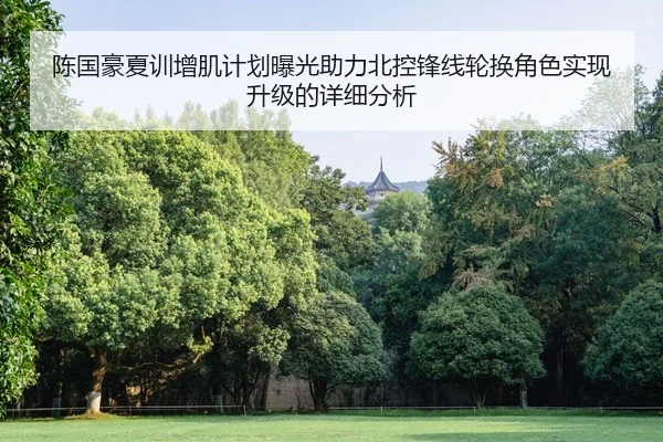 陈国豪夏训增肌计划曝光助力北控锋线轮换角色实现升级的详细分析